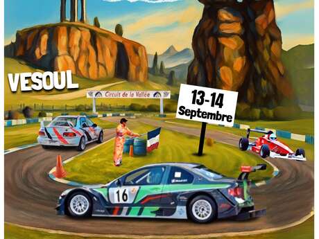 Finale de la Coupe de France des Slaloms Automobiles