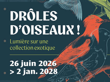 Drôles d'oiseaux : lumière sur une collection exotique ! Visite guidée de l'exposition (Journées Européennes du Patrimoine)