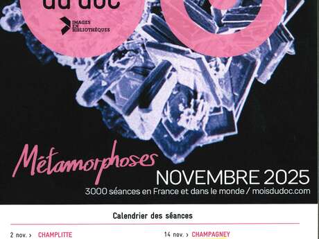 Projection Le Mois du Doc