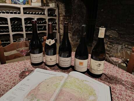 All about Corton