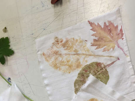 Atelier 7-12 ans / Atelier teinture végétale / Tataki Zomé