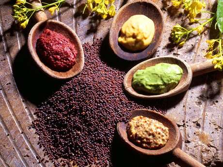 Atelier de création de la véritable Moutarde à Dijon
