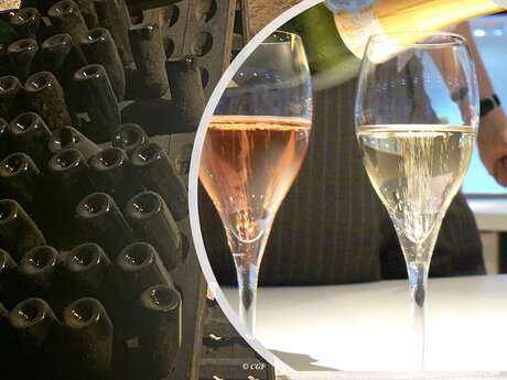 IMMERSION GUSTATIVE DANS LE MONDE DES CRÉMANT DE BOURGOGNE ET D’AILLEURS !