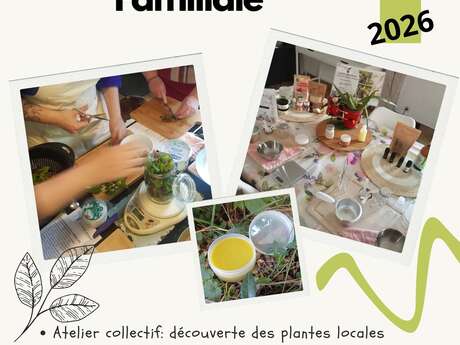 Atelier plantes médicinales