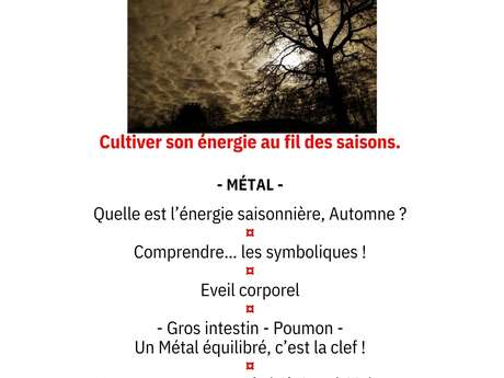 Atelier SHIATSU "Cultiver son énergie au fil des saisons."