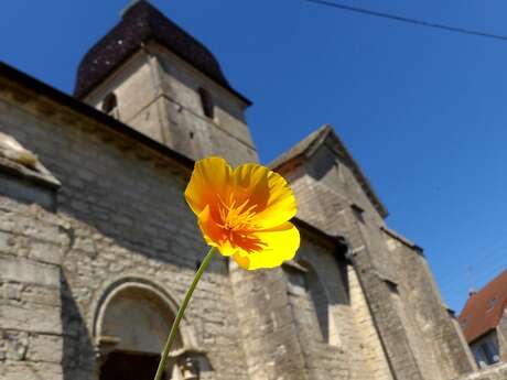Journées du Patrimoine visite commentée du village