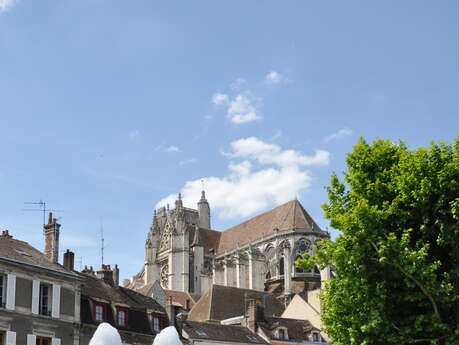 Auxerre racontée aux enfants - Visite guidée