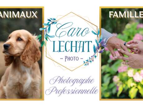 Caro Lechat Photo