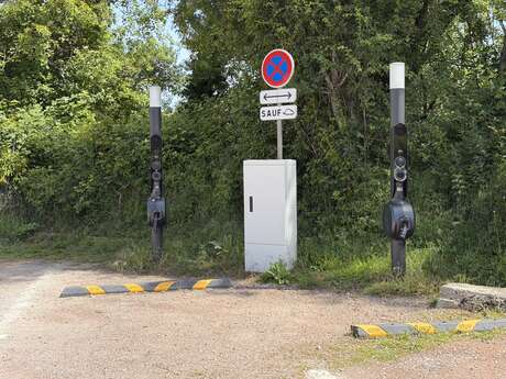 Borne de recharge pour véhicules électriques