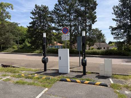 Borne de recharge pour véhicules électriques