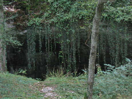 Grotte de la Baume Noire