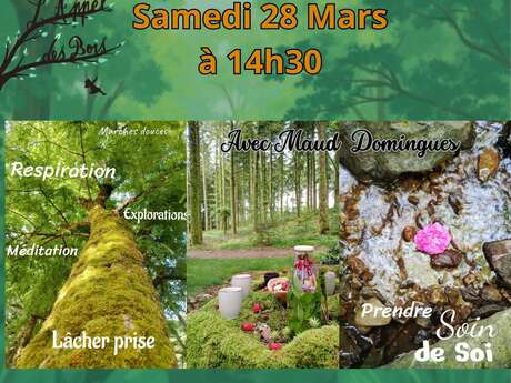 Association l'Appel des Bois