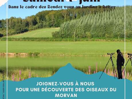 Balade ornithologique