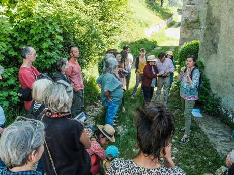 Balade champêtre- Découverte des usages des Plantes Sauvages