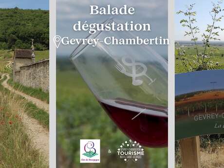 Balade dégustation dans les vignes
