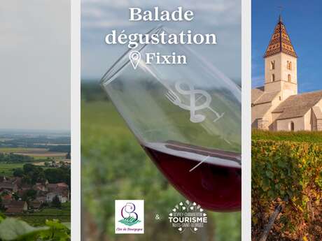Balade dégustation dans les vignes