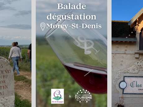 Balade dégustation dans les vignes