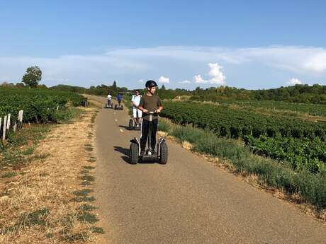 Echappée dans les vignes en Segway