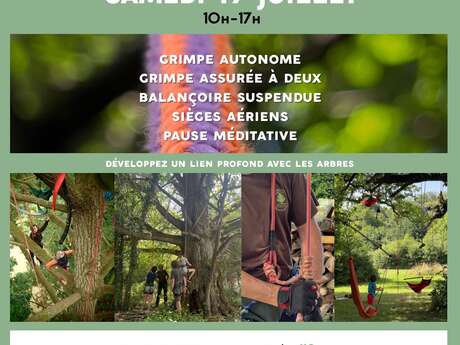 Ballad'Arbres - Grimpe et exploration dans les arbres
