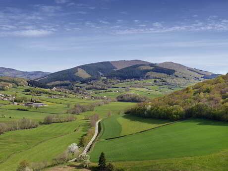 Des Manoirs en Seigneuries