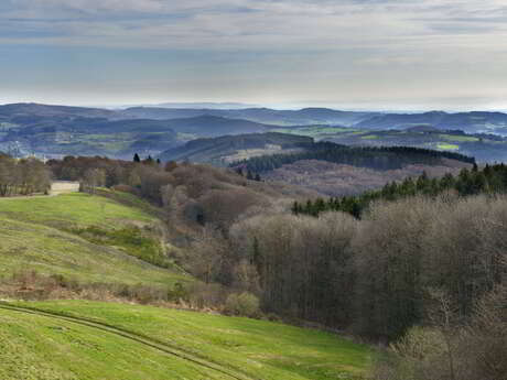 La Châtaigneraie