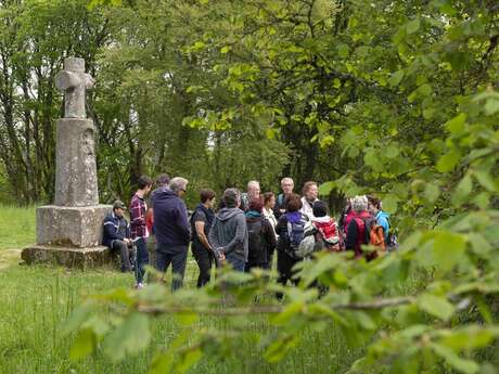 Journées européennes de l'archéologie à Bibracte Journées européennes de l'archéologie à Bibracte