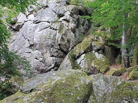 A la découverte de la cascade de Brisecou