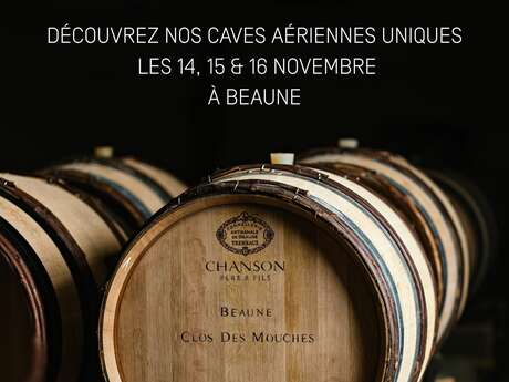 Domaine Chanson - Dégustation spéciale Vente des vins 2025