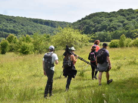 Randonnée "Les merveilles du Vallon de Fontenelay"
