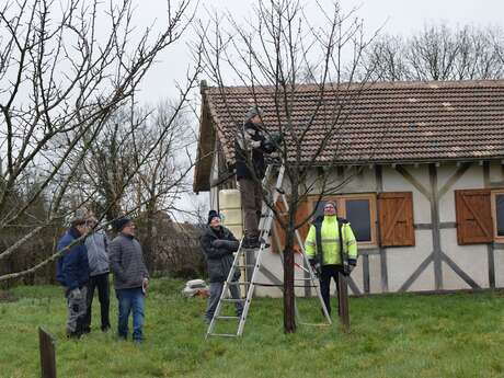 Journée Taille et Greffe 2026