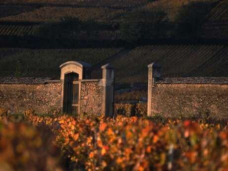 Circuit privatisé journée - Côte de Beaune et Côte de Nuits