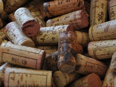 Escapades dans le vignoble - Circuit Découverte - 1/2 journée