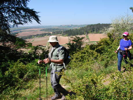 25e randonnée les Amis d'Albert