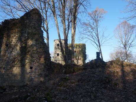 Château de Vautheau