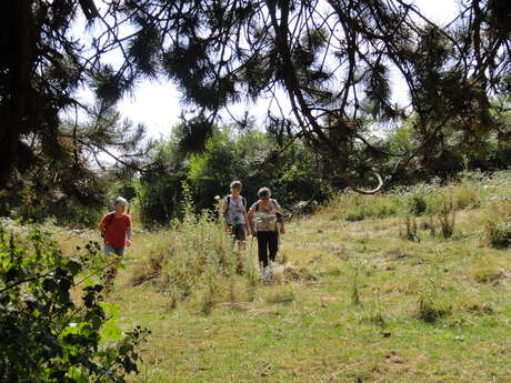 Circuit pédestre des Pelouses