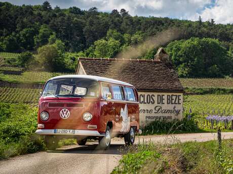 Chemins de Bourgogne - Circuit dans la Côte de Nuits, en Combi - Après-midi