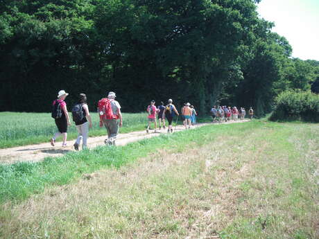 Les Bois de Brussey