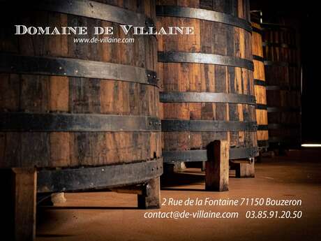 De Villaine