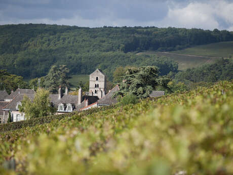 Domaine Ninot (Visite-dégustation - Rully et Mercurey, les secrets de nos terroirs)