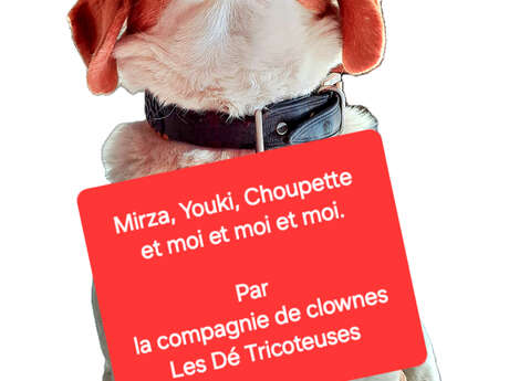 Spectacle « Mirza, Youki, Choupette et moi et moi et moi »