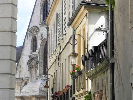 Visite « Flash » – Dijon en 45 minutes