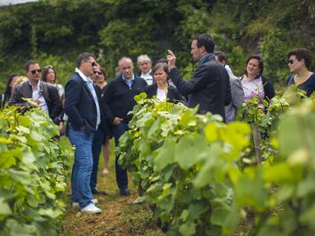 Journée découverte des vins de Bourgogne