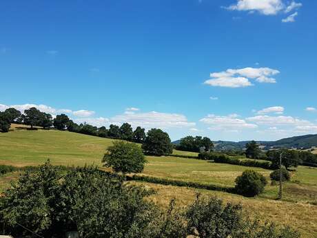 Entre vignobles de Bourgogne et forêts du Morvan