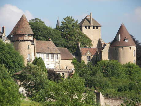 Balade nature et patrimoine : sauvages de ma rue (Journées Européennes du Patrimoine)