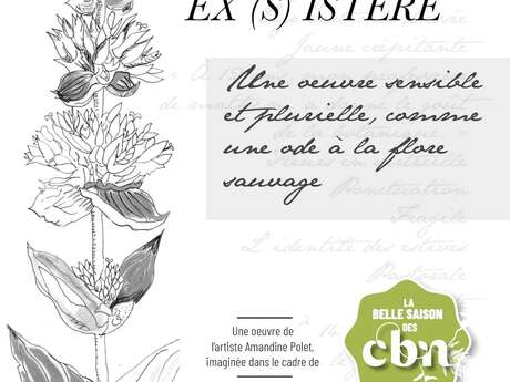 Exposition de l'oeuvre Ex(s)istere* : une ode au végétal sauvage