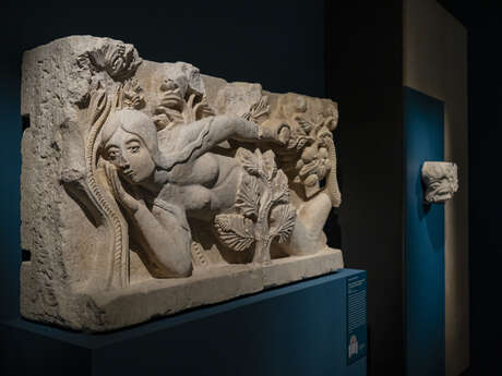 Visite guidée de l'exposition "Merveilles Choisies"