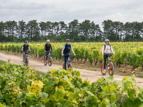 FRANCE A VELO