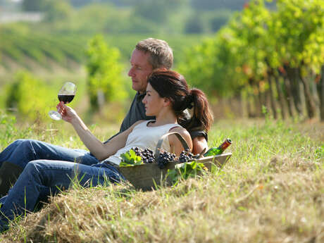 Dégustation vins de Bourgogne