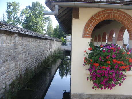 Visite des lavoirs de Fontaines