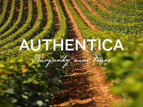Authentica Tours